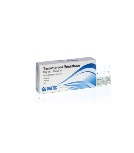 Baltic Testosterone Enanthate