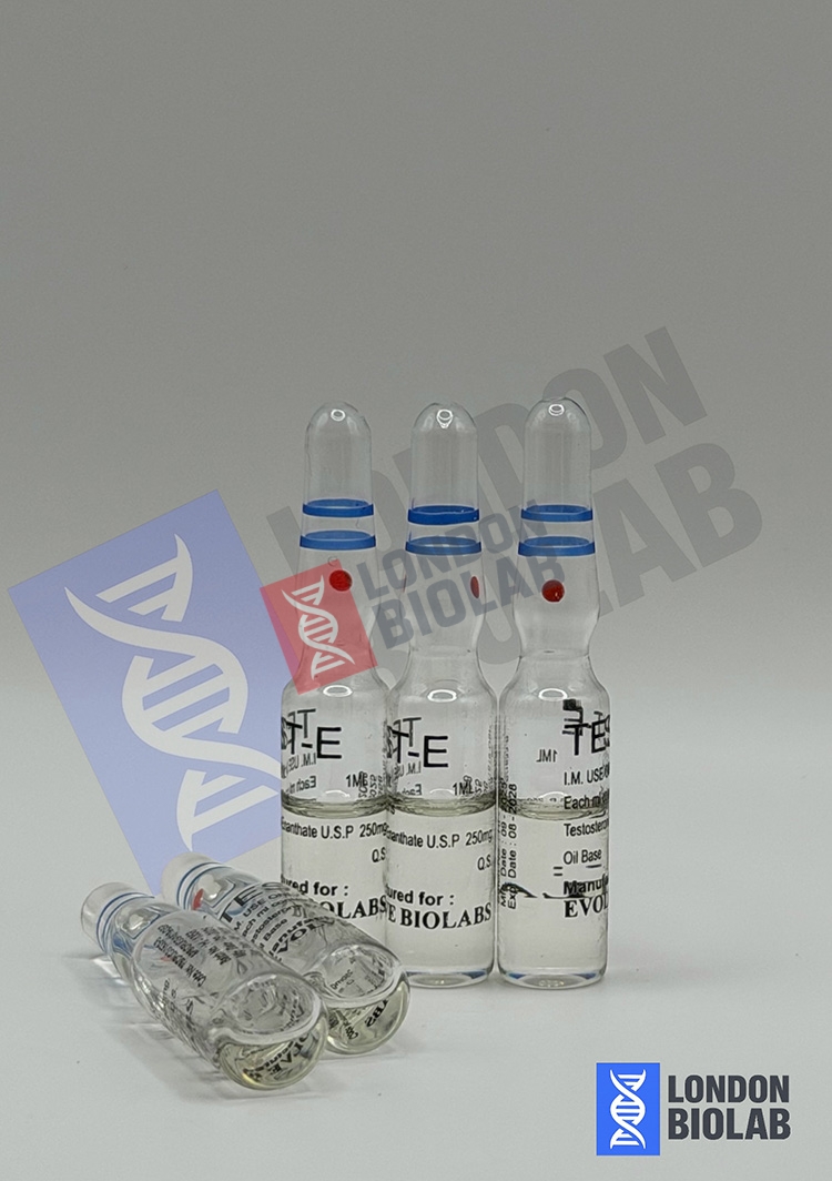 Testosterone Enanthate Evolve Biolabs - Image 3